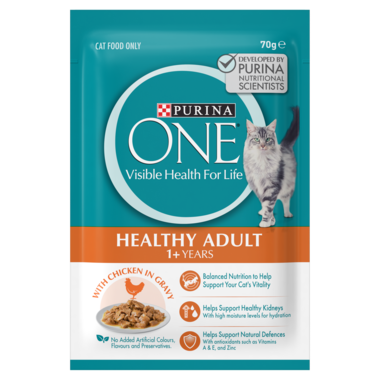 PURINA ONE Adult With Succulent Chicken in Gravy Wet Cat Food