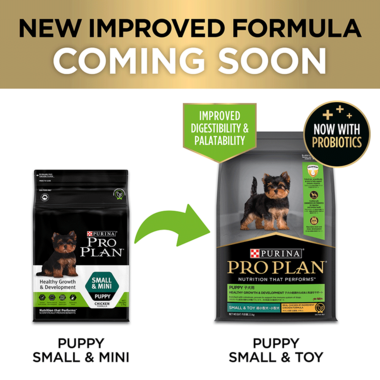 Puppy Healthy Growth and Development Small Mini Dry Dog Food
