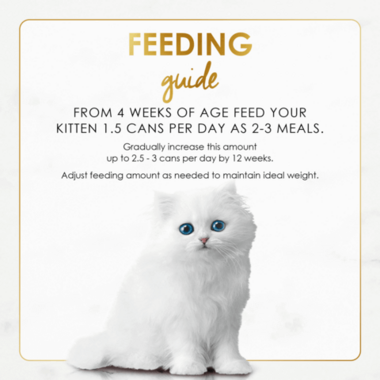 Feeding Guide KITTEN