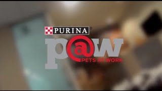 Welcome to the office - Purina Pets at Work