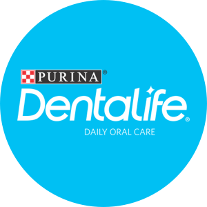 DentaLife logo