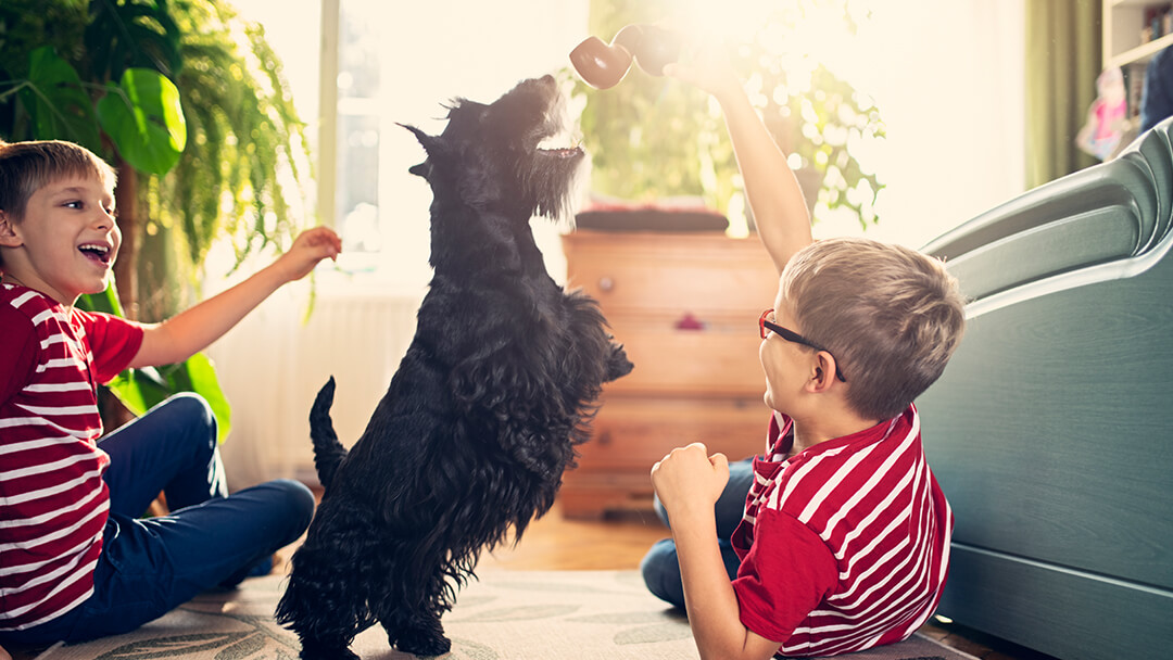 Children playing with dog in interactive game