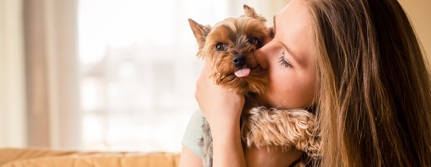 girl cuddling her yorkie pup