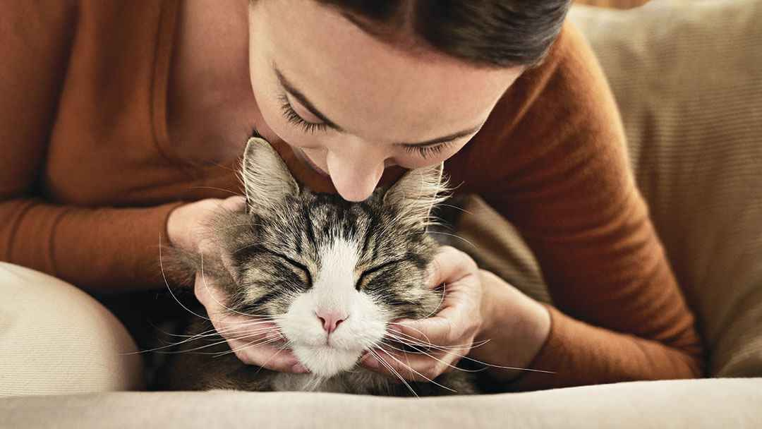 woman leaning over cat for a kiss