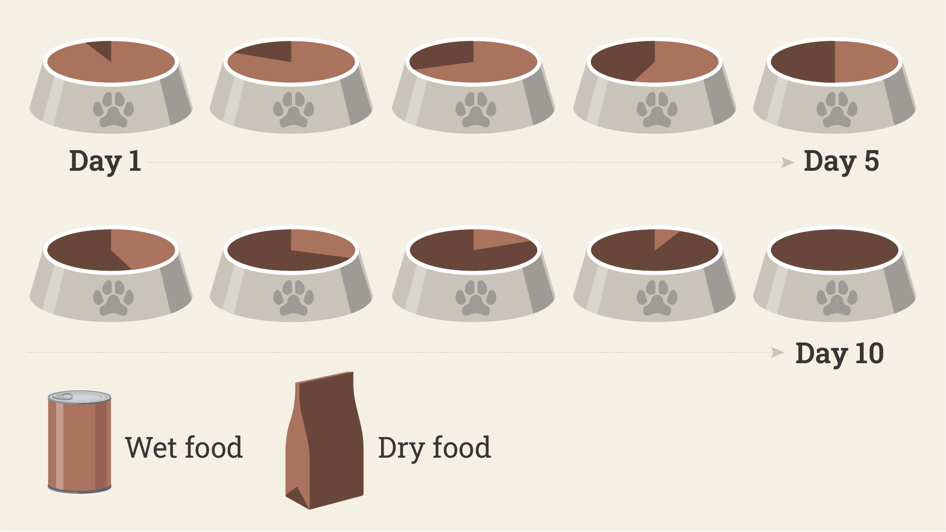 transitioning from wet to dry food