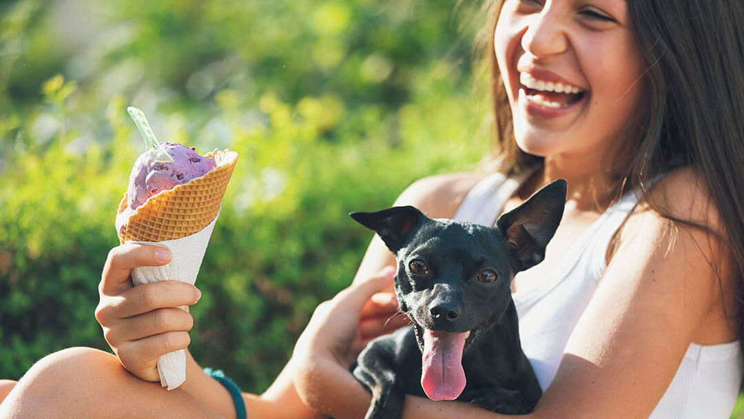 Can Dogs Eat Ice Cream?  