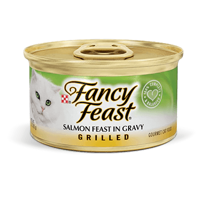 what should i feed my 6 week old kitten