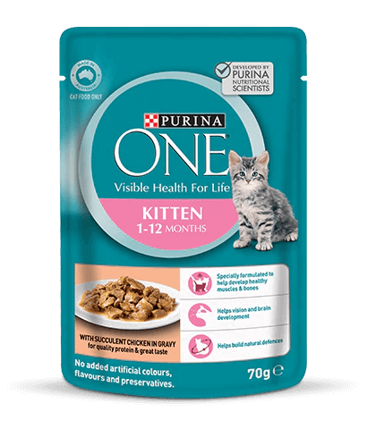 buy purina one cat food