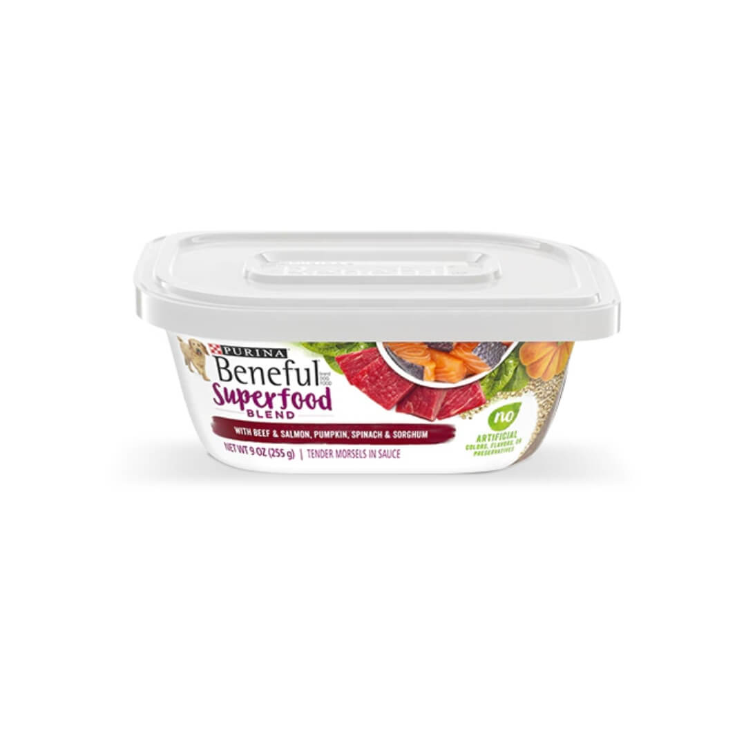 stella & chewy's dog food