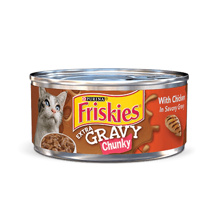 wellness core dog food