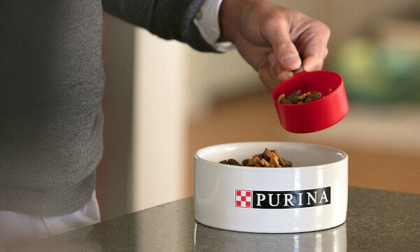 PURINA ingredients essential nutrition 600 x 360px