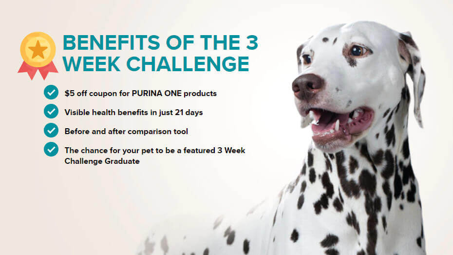 PURINA ONE 3 Week Challenge Dog Image with Benefits 930 x 523px