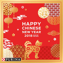 Chinese-New-Year-Comp