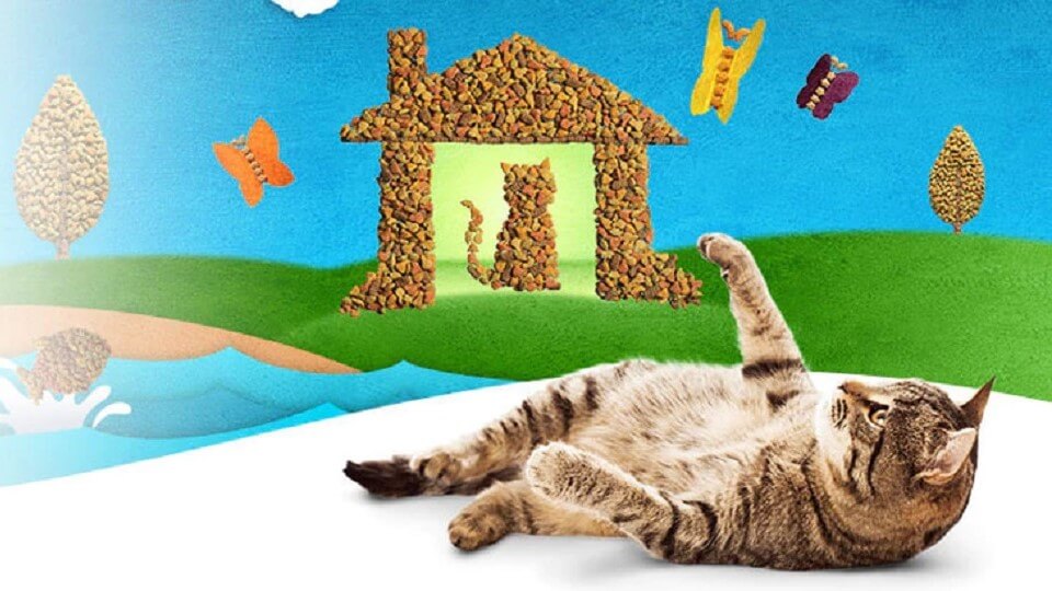 purina-friskies-hero-image-960x540