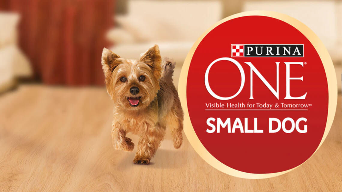 PURINA ONE Small Dog Hero Image 1140 x 642px