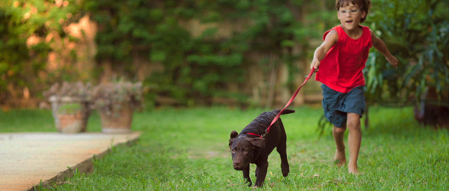 Boy running with dog