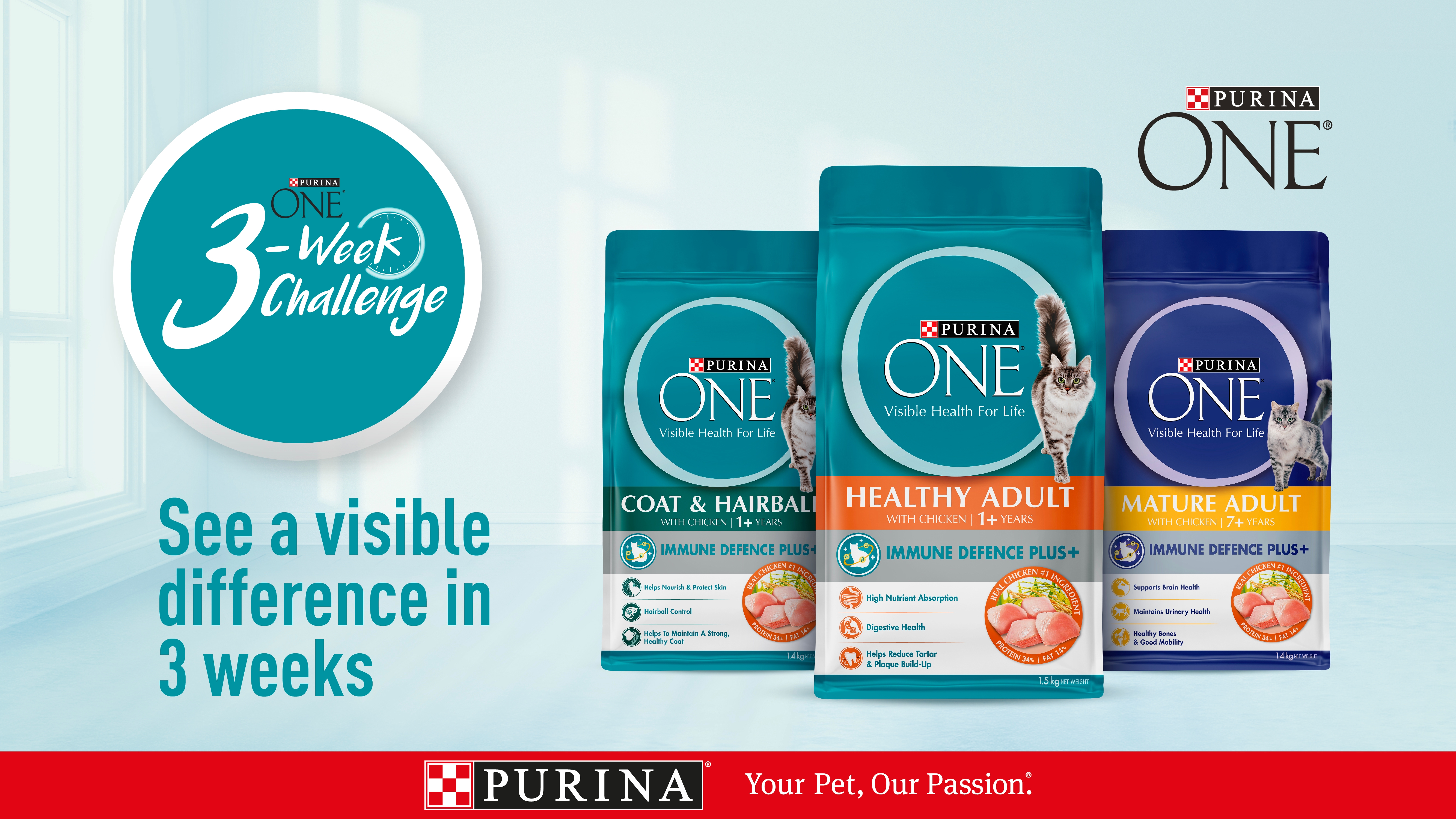 PURINA One Immune Plus Web Assets_VideoImage_highres