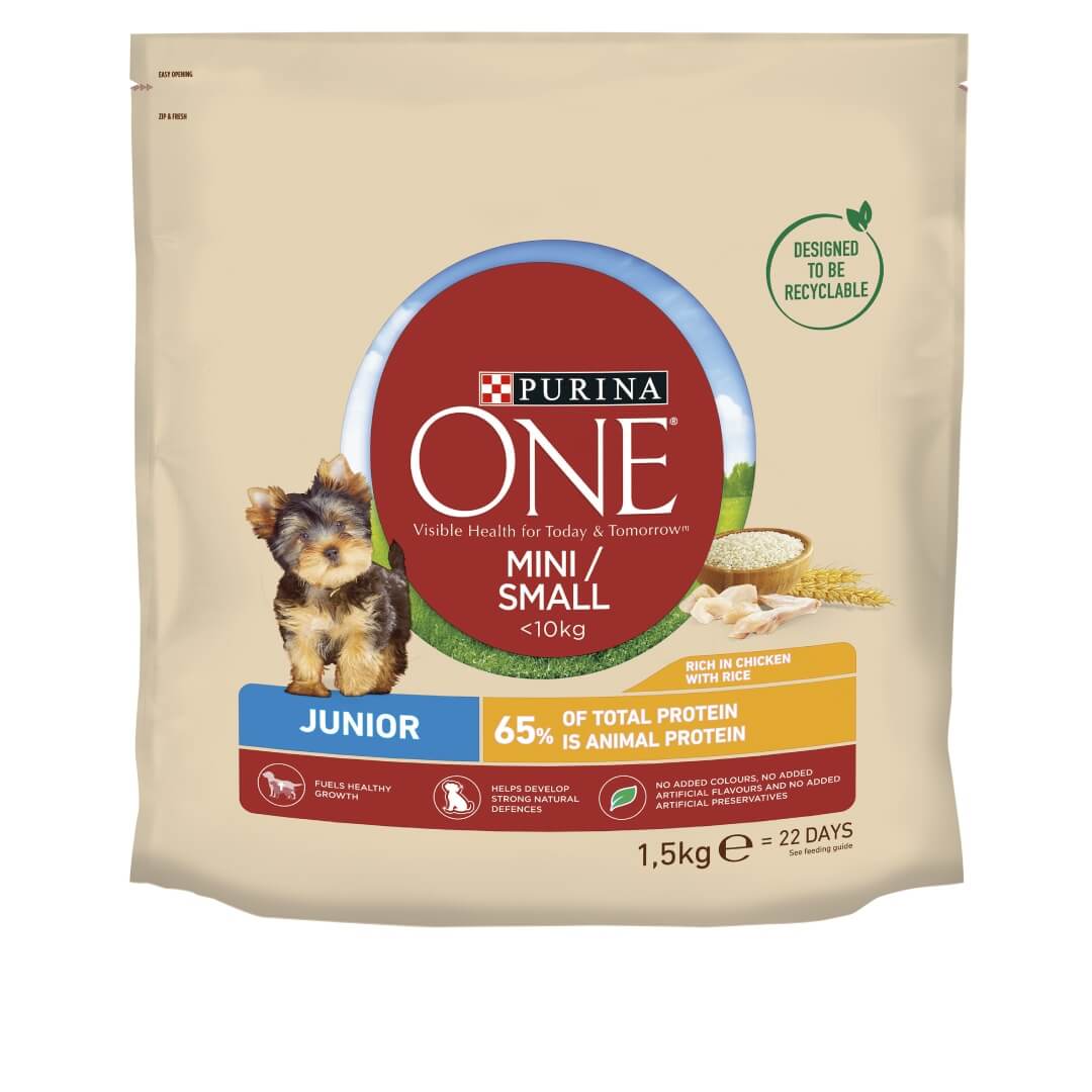Best junior dog food sale