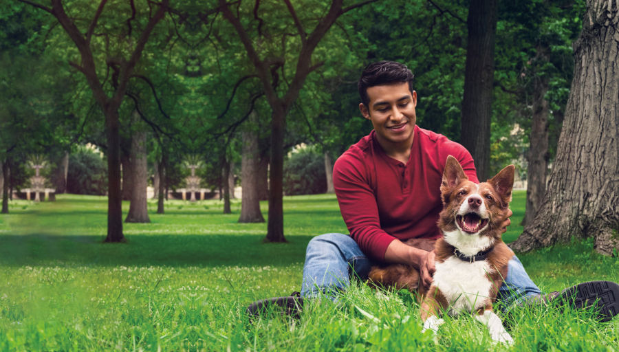 FrontDog - A man sitting in grass with a dog