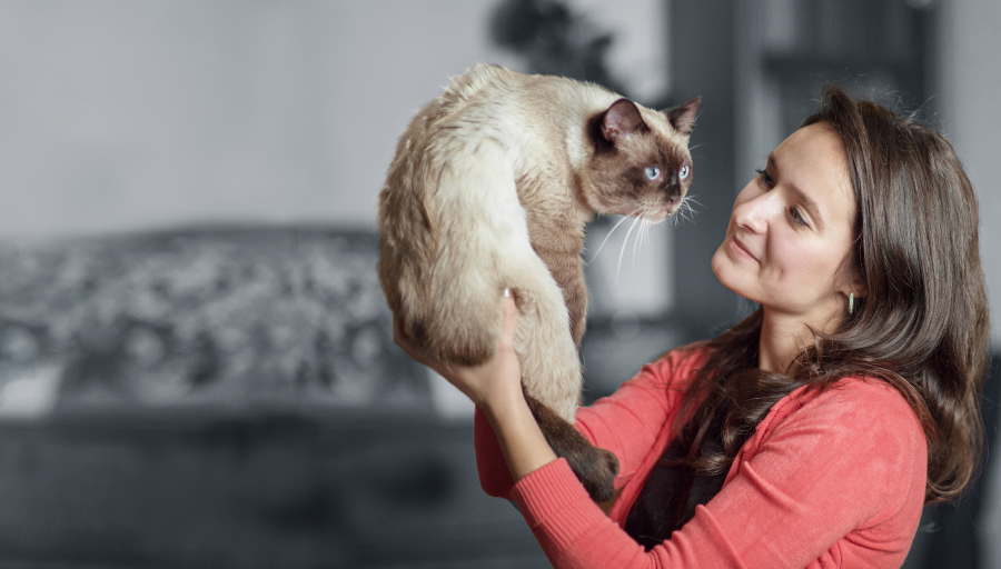 loadingcat_-_a_woman_holding_a_cat