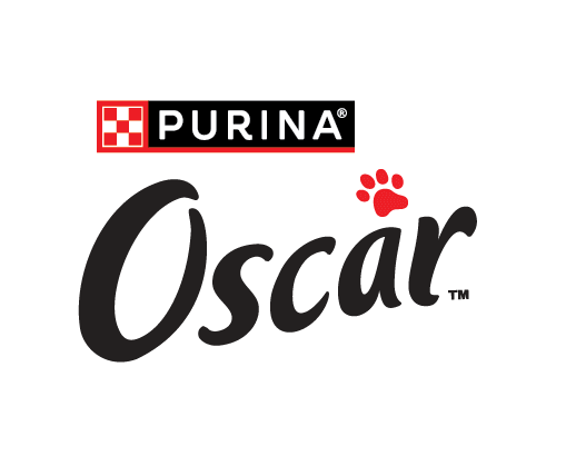 Oscar 2024