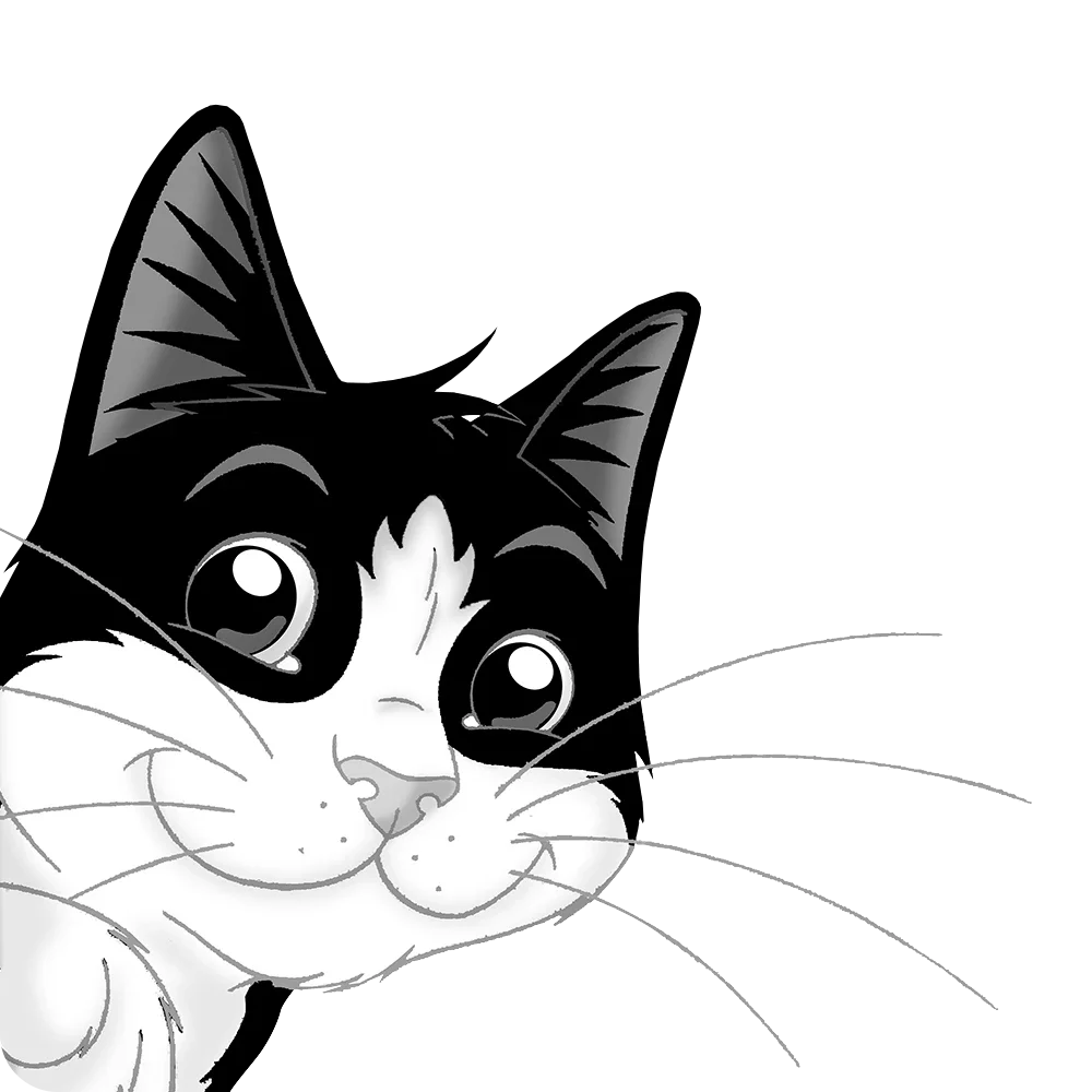 Felix cat teaser image