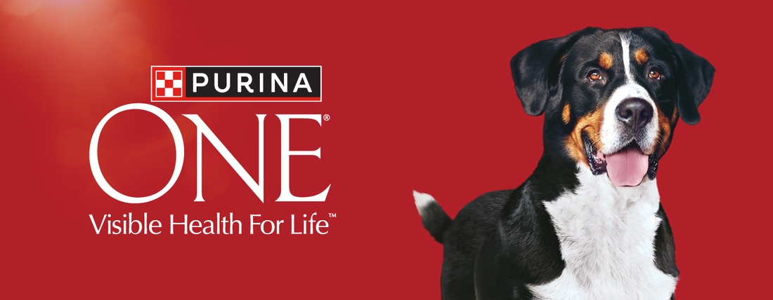 NZ_PU_ONE_Dog_NZ Website Banners