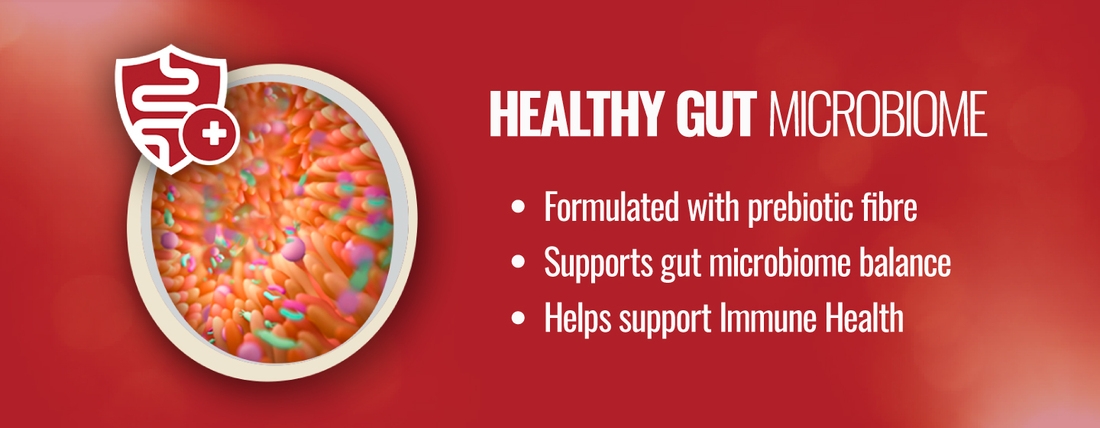 NZ_PU_ONE_Dog_NZ Website Banners_Healthy Gut Microbiome