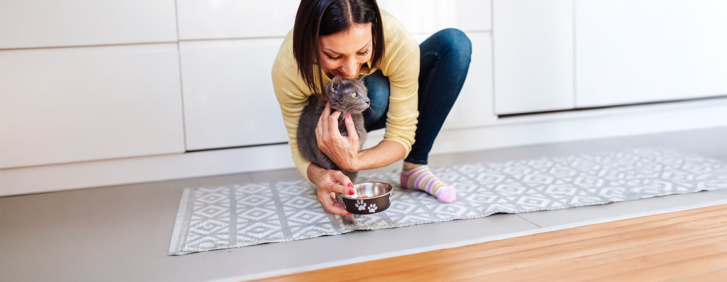 What Human Foods Can Cats Eat?