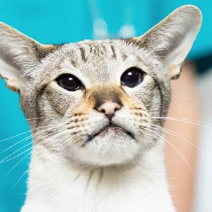 Article Hero urinary health