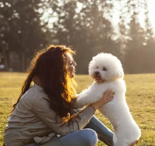 Coping with The Loss of a Pet
