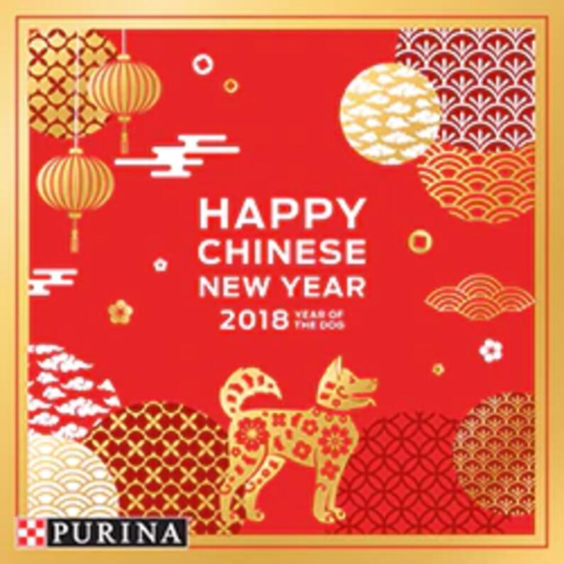 Chinese-New-Year-Comp