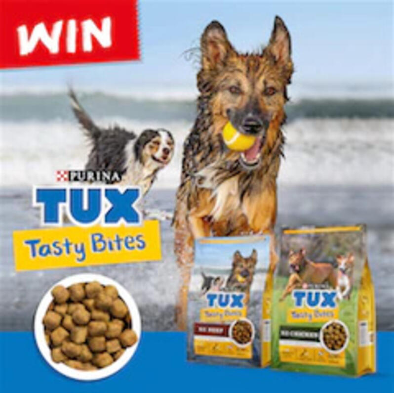 Screen-Shot-tux-tasty-bites-1