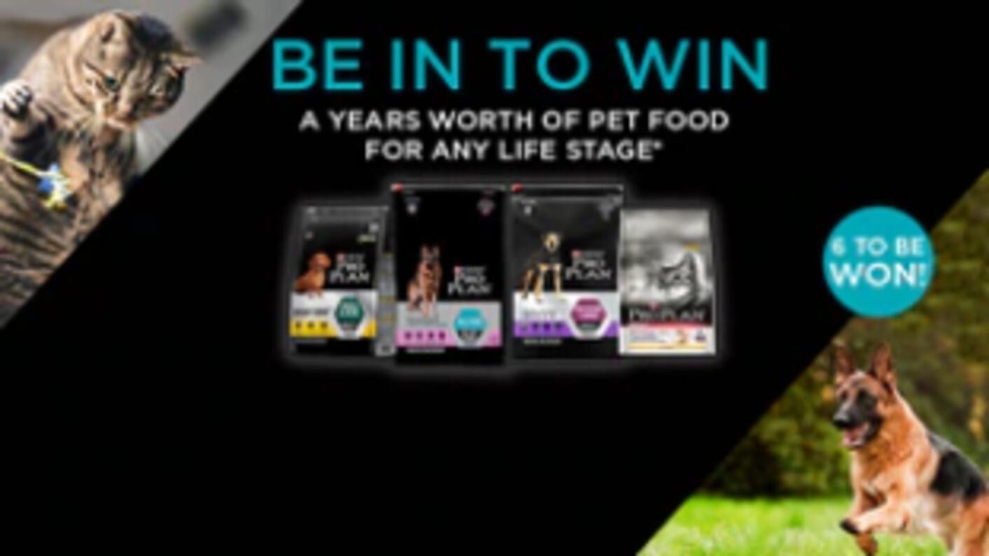 competition-banner
