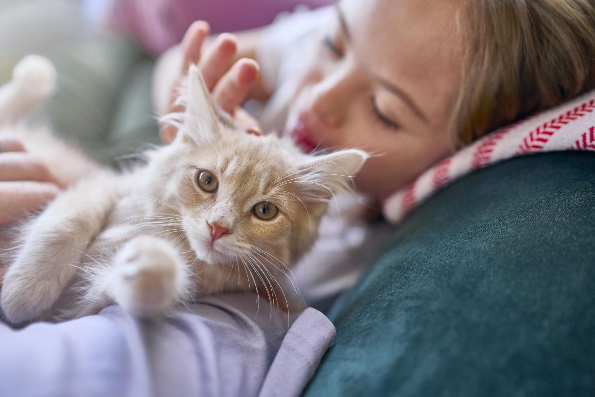 Cat lying down being pet by girl