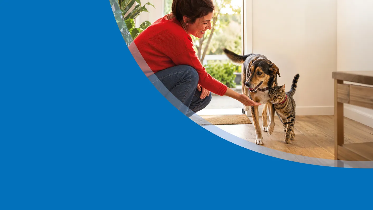 Purina SPCA