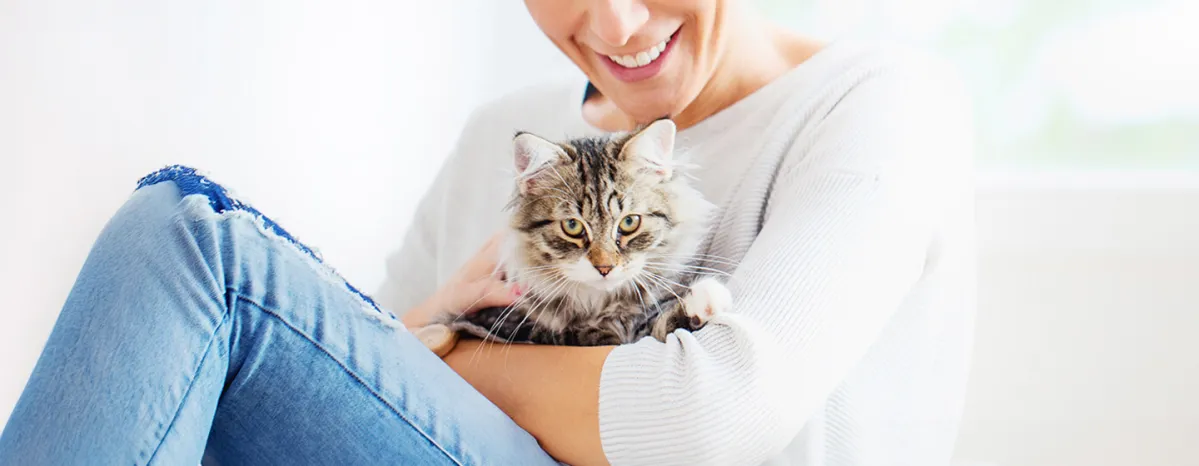 Guide to Boarding Catteries and Cat Sitting Services