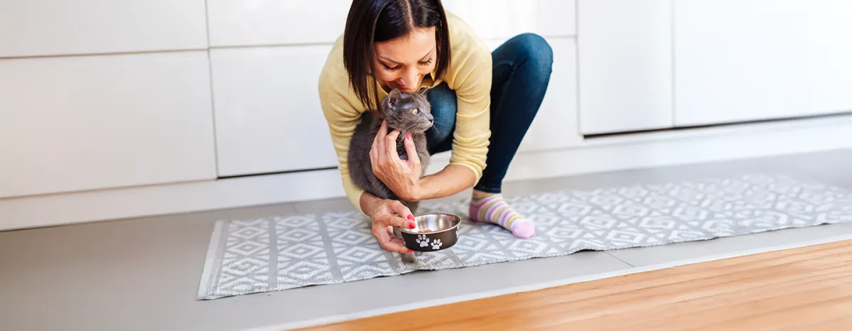 What Human Foods Can Cats Eat?