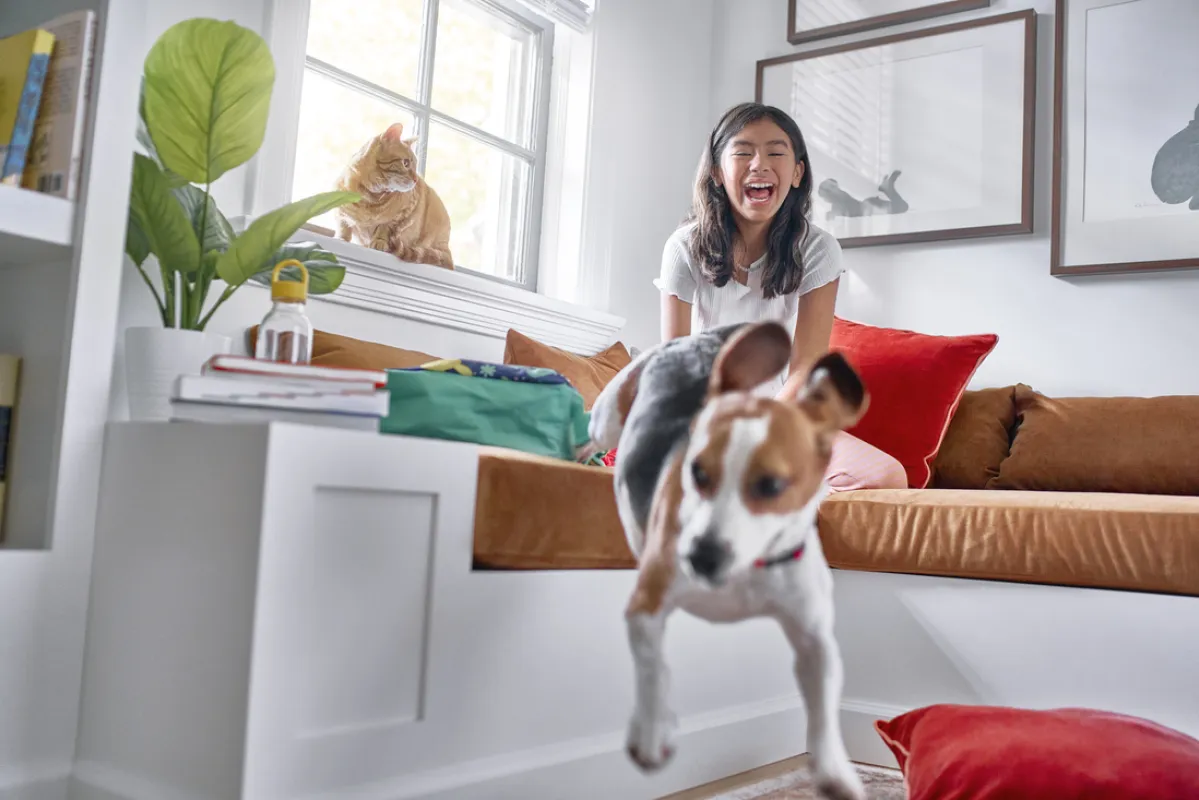 Young girl reading indoors with her dog and cat