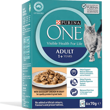 PURINA ONE Adult with Succulent Chicken in Gravy Wet Pouch 6 pack Multipack 6 x 70g