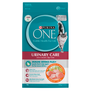 PURINA ONE Urinary Care Chicken Dry Cat Food