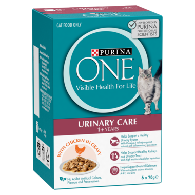 PURINA ONE Adult Urinary Care With Succulent Chicken in Gravy Wet Cat Food MP