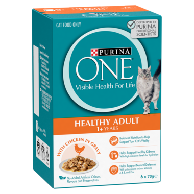 Purina ONE Healthy Adult Chicken MP