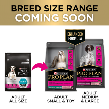 Adult Sensitive Skin and Stomach All Breed Sizes Dry Dog Food