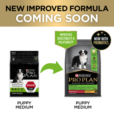 Puppy Healthy Growth and Development Medium Breed Dry Dog Food