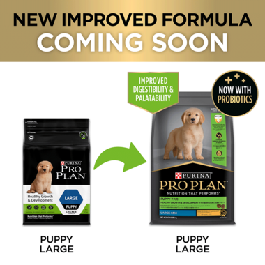 Puppy Healthy Growth and Development Large Breed Dry Dog Food