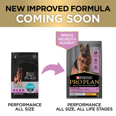 All Life Stages Performance All Breed Sizes Dry Dog Food