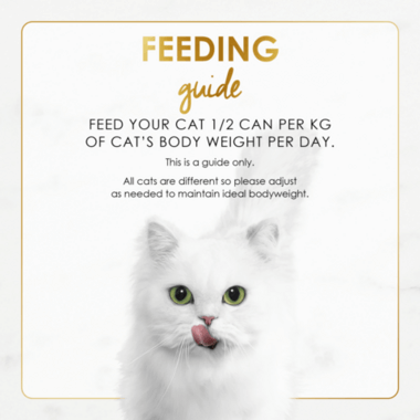 Feeding Guide ADULT_Classic