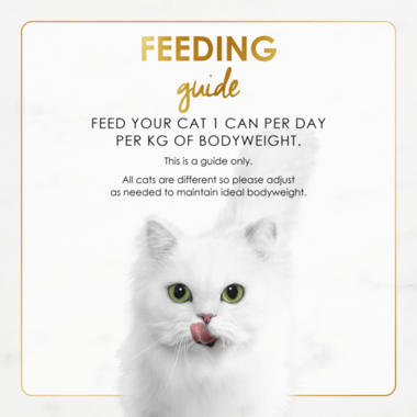 Feeding Guide ADULT_Grilled