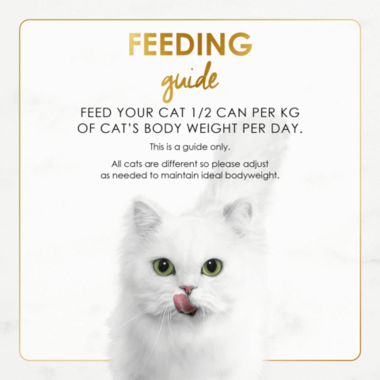 Feeding Guide ADULT_Classic